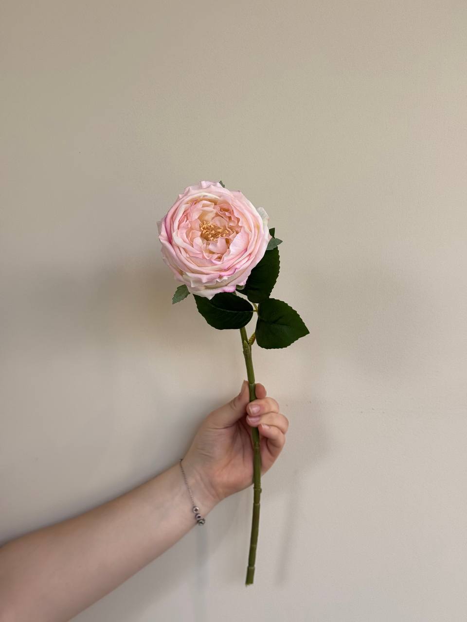 Пышная роза (Rosa × hybrida) в стиле садовой real touch, в 5 цветах, Модель X-FL6