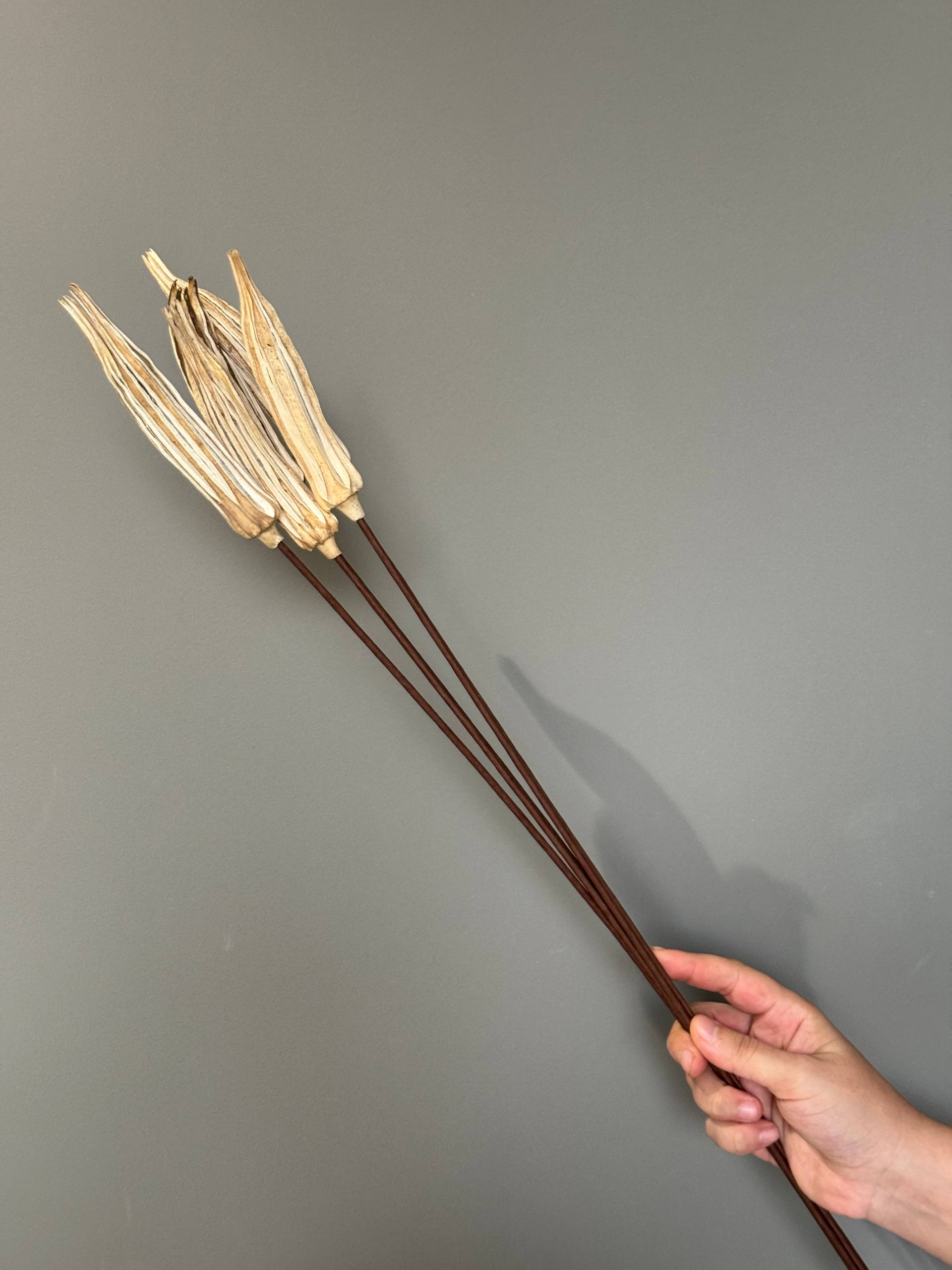 Сухоцвет Okra 70 cm (веточка)