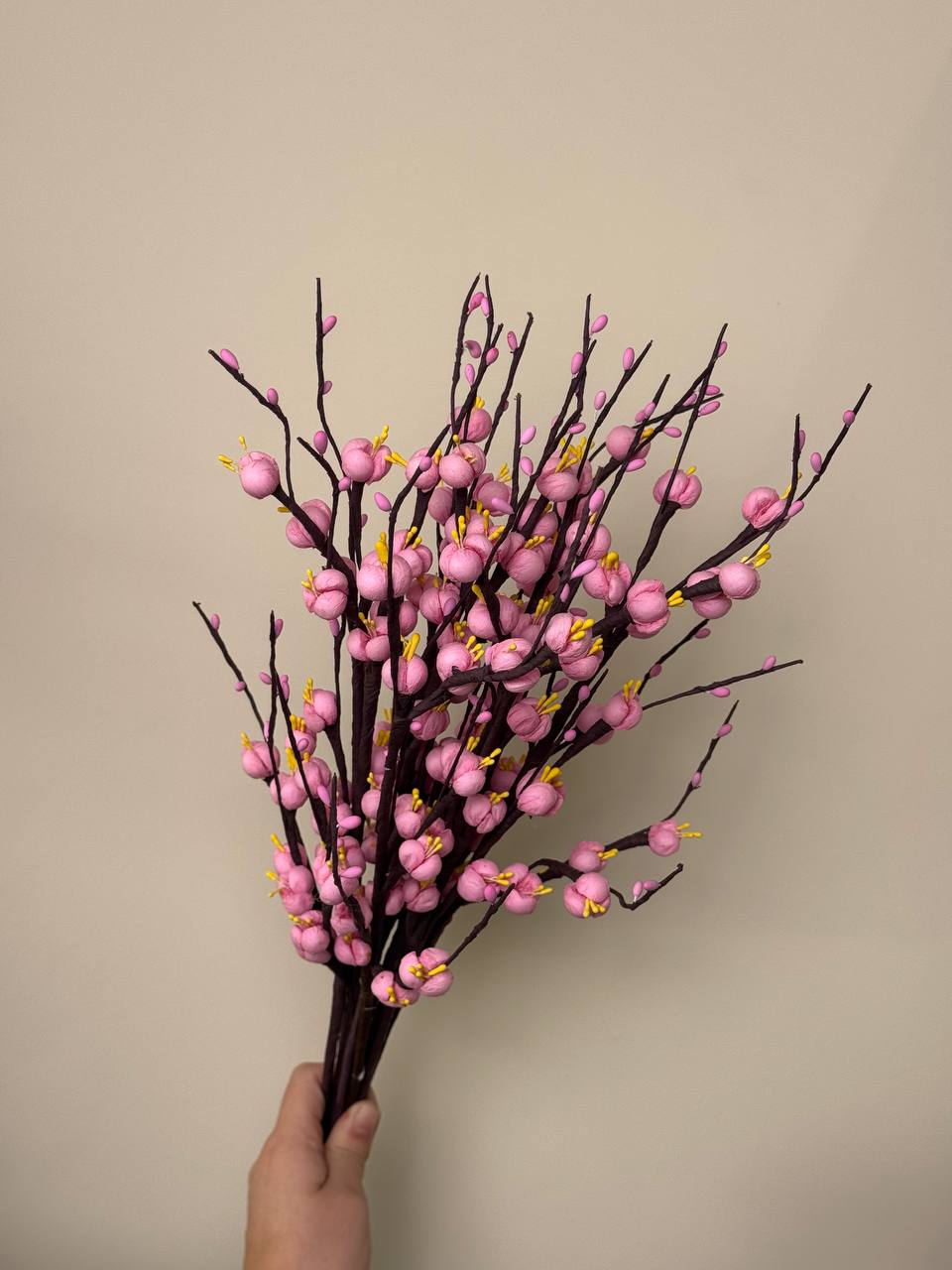 Сухоцвет New Magnolia (доступен в 3х цветах) X-FS36