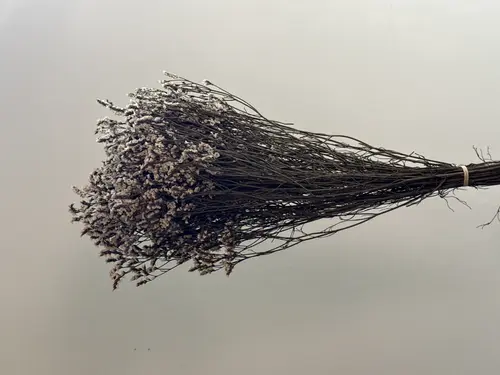 Kristal gul - oq / X-FLD8