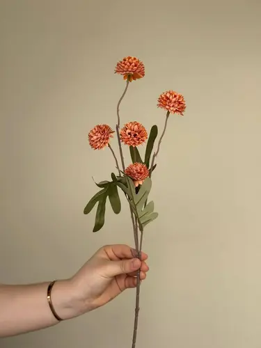 Shimoliy gul "Chrysanthemum mini ball", 9 rangda mavjud, Model X-FL18