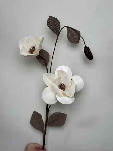 Magnoliya gulli katta shox (100sm) X-FS6