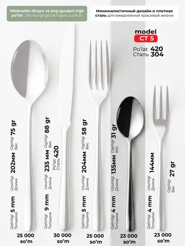 Choy qoshiq X-CT5D