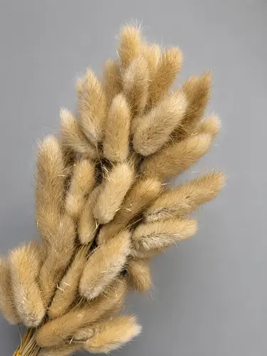 Rabbit tail o'ti - tabiiy / X-FLD2