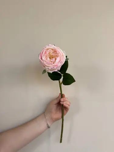 Gullar bilan real touch uslubidagi pushti atirgul (Rosa × hybrida), 5 rangda. Model X-FL6