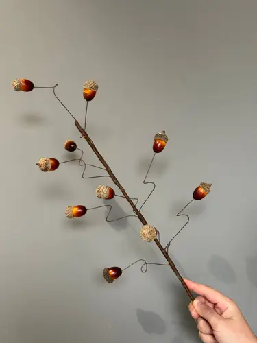 Lucky Fruit quritilgan eman shoxchasi