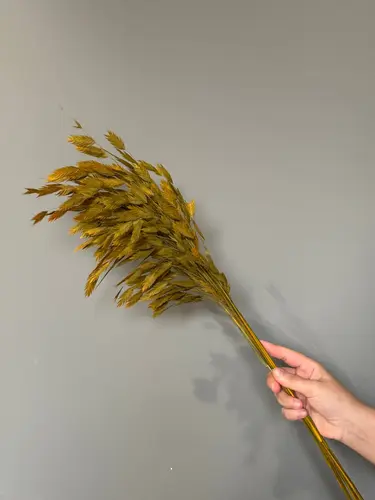 Tabiiy hasmantium (yassi boshoqlar) guldastasi, 65 sm