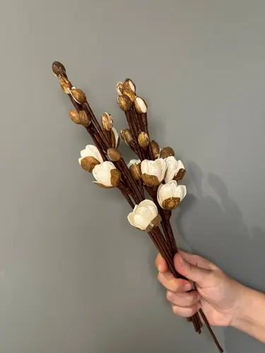 Yarim ochilgan krem rangli magnolia quritilgan gullari (1 shoxcha)