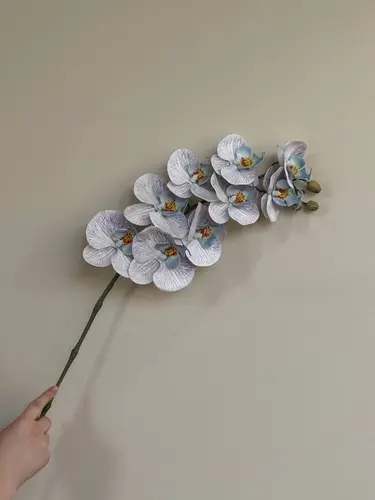 9 ta guldasta bilan orxideya "Becca Phalaenopsis" uch ta rangda, Model X-FL19